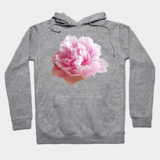 Pink Peony Flower Photo Hoodie